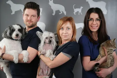 Przychodnia weterynaryjna Żako